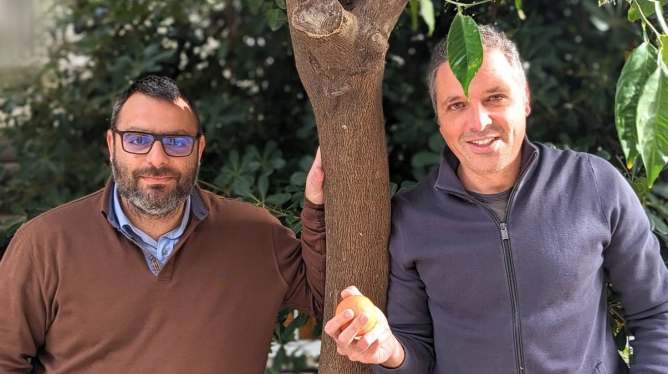Wikifarmer founders Ilias Sousis and Petros Sagos.