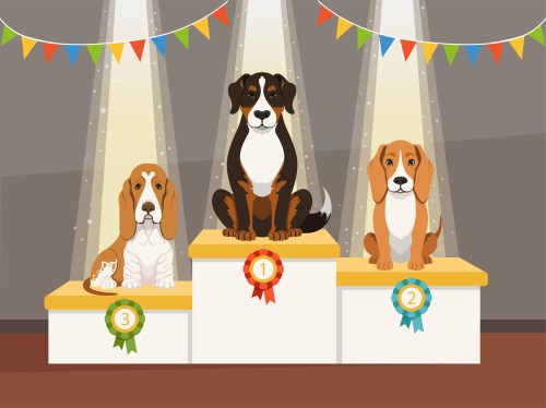Three dogs on a podium with on in first place, one second and one third.