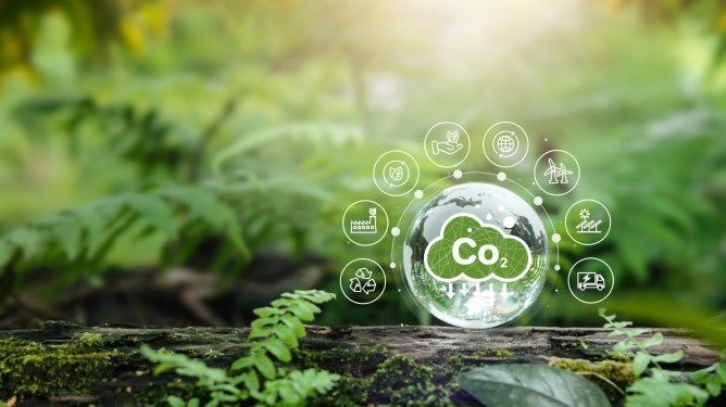 Concept illustration about decarbonization, showing ferns growing from the ground. A large crystal ball with CO2 written inside, surrounded by smaller crystal balls with icons representing recycling, wind power and other climate themes, is superimposed over the main image.