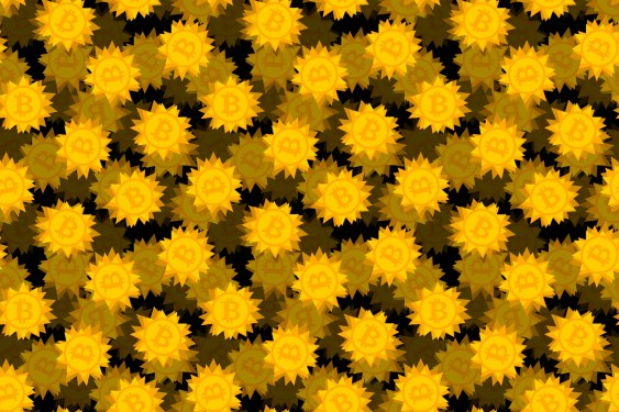 gold bitcoin logos featured on spiky-shaped coins on a darkened black background