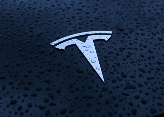 Tesla logo seen on Tesla vehicle