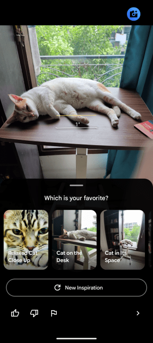 An screenshot showing the Pixel 10 Pro's Camera Coach feature, which guides you to take your photos through the phone.