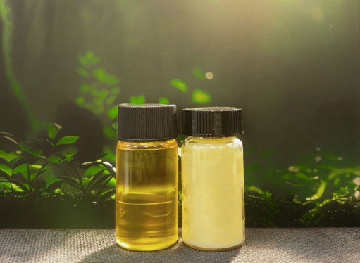 Two vials of oil sit against a leafy backdrop.